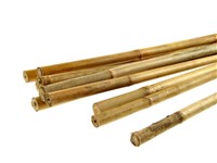 bambus tyč 210cm