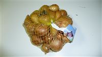 Sazečka ŠALOTKA žlutá - 500 g