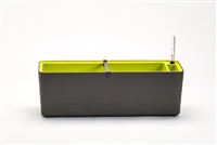 truhlík BERBERIS 60 cm - antracit+zelená