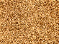 Hořčice bílá 800g