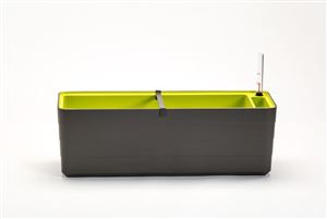 truhlík BERBERIS 60 cm - antracit+zelená
