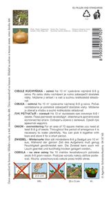 cibule Hiberna/ozimá/ 2g **
