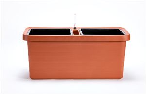 truhlík Berberis duo terakota