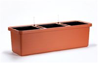 truhlík Berberis trio terakota