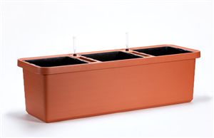 truhlík Berberis trio terakota