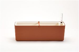 truhlík BERBERIS 60 cm - terakota+slon. kost