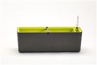 truhlík BERBERIS 60 cm - antracit+zelená