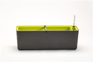 truhlík BERBERIS 60 cm - antracit+zelená