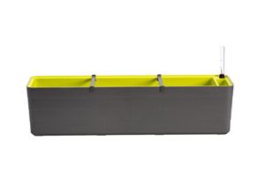truhlík BERBERIS 80 cm - antracit+zelená