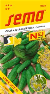 okurka Charlotte F1 1,5g *** **