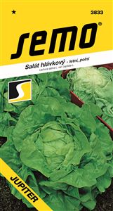 salát  Jupiter 0,4g *