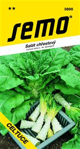 salát chřestový Celtuce 0,4g **