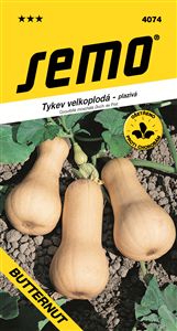 tykev Butternut 2g ***