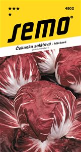 čekanka sal.Palla rosso Anna 50s. *** *