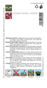 čekanka sal.Palla rosso Anna 50s. *** *