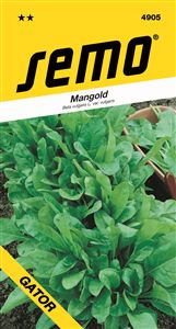 mangold Perpetual sp. 4g **