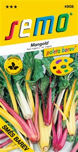Mangold směs barev ***