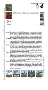 astra Electric červená 0,5g ***