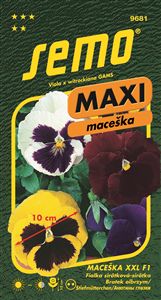 maceška velkokv.XXL F1 15s. *** **