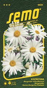 kopretina Shasta daisy 0,8g ***